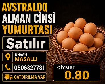 продам саженцы роз: Məhsul: Avstraloq Alman cinsi yumurtası - Çatdırılma: Çatdırılma var - — 1