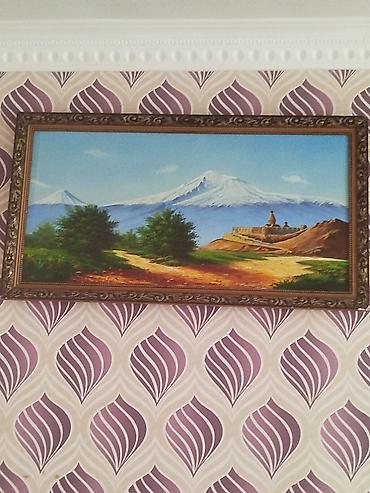 Tovuz quşları: Məhsul: Tovuzquşu (erkək) Təsvir: - Parlaq mavi boyun və döş, geniş — 9