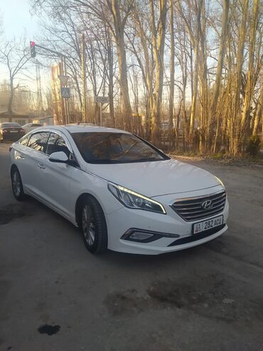 Hyundai: Hyundai Sonata: 2016 г., 2 л, Типтроник, Газ, Седан