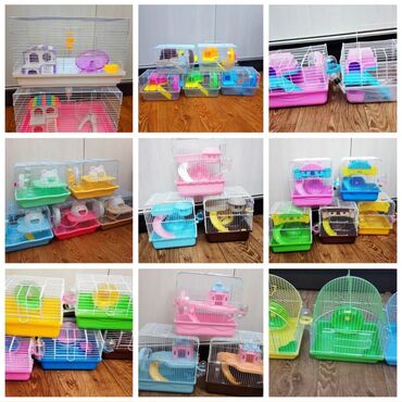 летучая мышь в кыргызстане: ПРОДАЮ НОВЫЕ КЛЕТКИ ДЛЯ СИРИЙСКИХ И ДЖУНГАРСКИХ ХОМЯЧКОВ,А ТАК ЖЕ