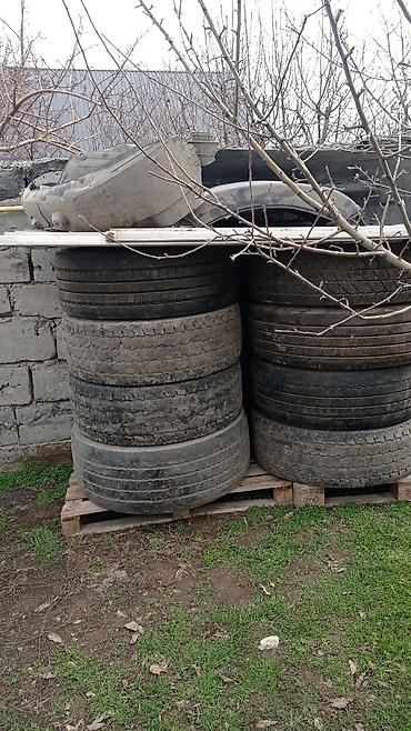Шины: Грузовые шины (под борта/прицеп/тягач) - Количество: партия на фото — 9