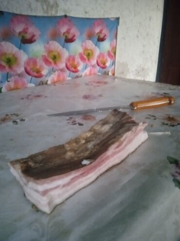 диван 3 в 1: Мясо свинина домашняя, ляжками, и т ушами звание договоримся