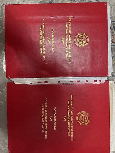 репина: 5 соток, Для бизнеса, Красная книга — 1