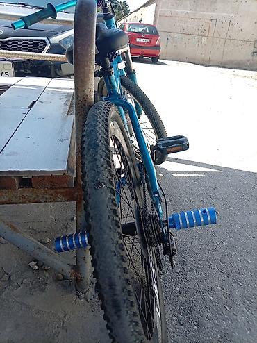 uşaqlar ucun lovhə: Uşaq/yeni başlayanlar üçün mtb tipli velosiped – SAFT brendi, mavi — 1