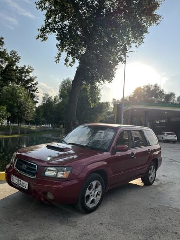 левый руль форестер: Subaru Forester: 2003 г., 2 л, Автомат, Бензин, Внедорожник