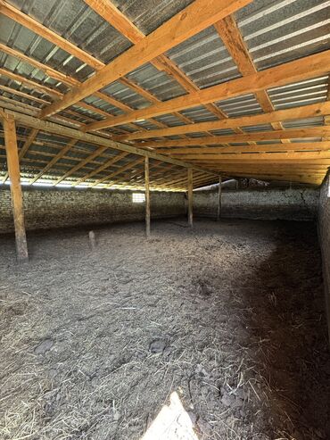 Продажа участков: 160 соток, Для сельского хозяйства, Красная книга, Тех паспорт — 4