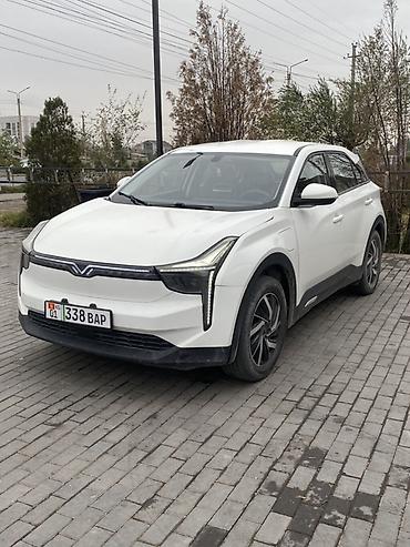 JAC: JAC : 2022 г., Автомат, Электромобиль, Кроссовер — 2