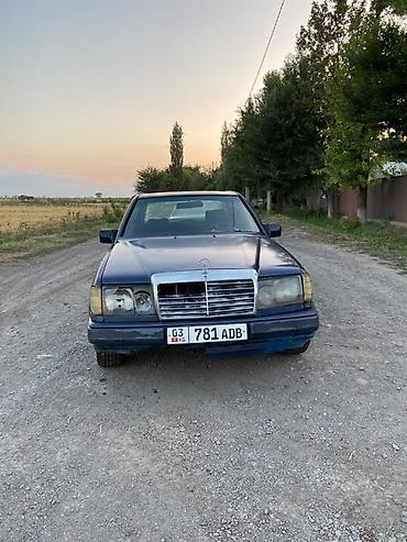 химия на авто: Mercedes-Benz W124: 1989 г., 2.3 л, Механика, Бензин, Седан — 3