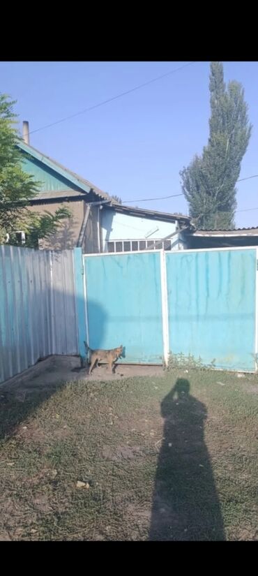 дом садовое беловодске: 60 м², 3 комнаты, Парковка, Забор, огорожен