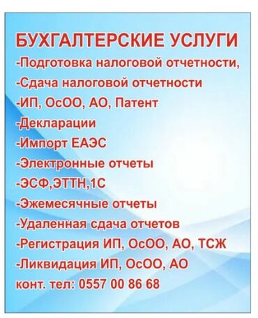 продаю осоо бишкек: Бухгалтердик кызматтар | Салыктык отчеттуулукту даярдоо, Салыктык отчеттуулукту берүү, Консультация