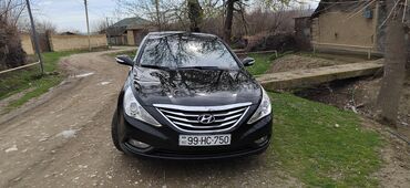 xarici maşınlar: Hyundai Sonata: 2 л | 2010 г. Седан