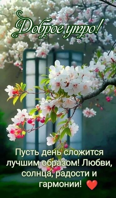 частный садик няня: Жумуш издейм сиделка акысы суйлошу боюнча