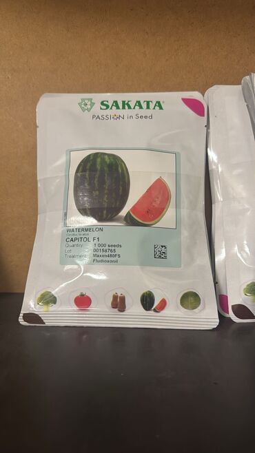 İstixanalar və parniklər: Şitil ücun qablarr qarpiz toxumlari uçun vathcapa yazn rayonlara — 17