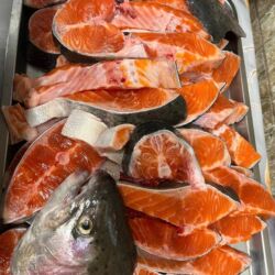 опрыскиватель садовый бишкек: Свежий, 1 кг, Самовывоз