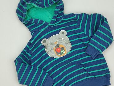 Sweatshirts: Sweatshirt, Lupilu, 3-4 years, 98-104 cm, condition - Good