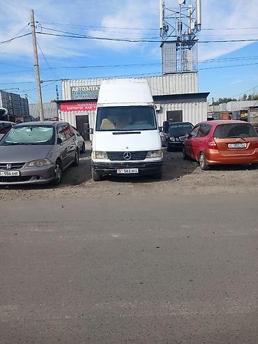 transporter multivan: Mercedes-Benz Sprinter, высокий длиннобазный фургон (макси). Кузов: - — 9