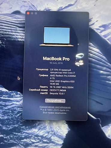 Ноутбуки Apple (MacBook): Apple MacBook Pro 16" (Space Gray) - Большой 16‑дюймовый дисплей с — 5