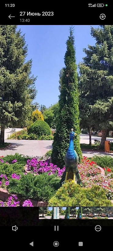 Иссык-Куль 2026: 🌊 СРОЧНО ПРОДАЕТСЯ Таунхаус в РАДУГА 🌈 ВЕСТ с термальной водой в доме — 9