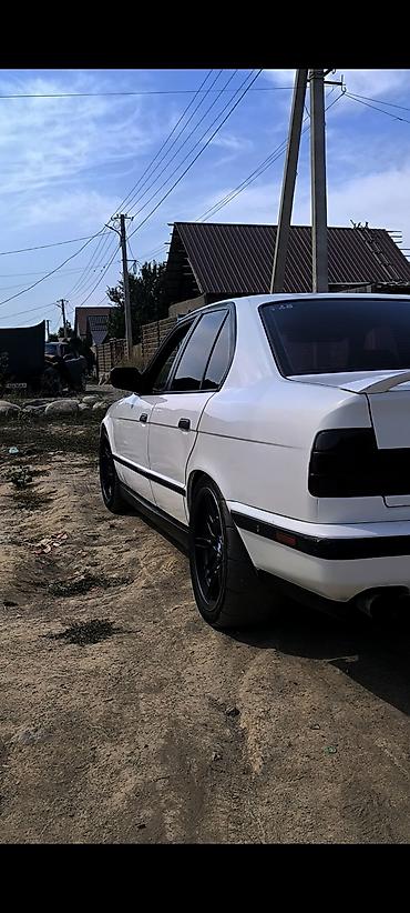 силк вэй: BMW 5 series: 1993 г., 4.4 л, Механика, Бензин, Седан — 3