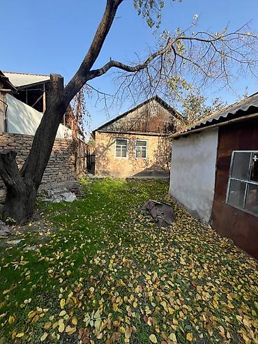 продаю или меняю с доплатой: 2 комнаты, 55 м², 7 соток, Джал, Агентство недвижимости — 1