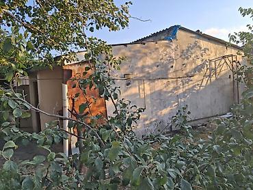 bina az 7 mkr satilan evler: Xırdalanda 2otaqlı 2.5 sot torpaqda ev satılır.meyve ağacları var — 5