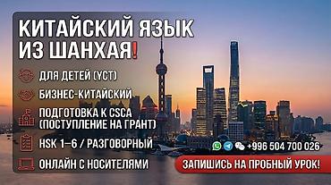 Курсы китайского языка, Онлайн, Подготовка к HSK