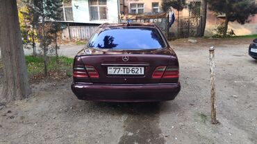 Mercedes-Benz: Mercedes-Benz E-Class (W210) sedan - Kuzov: 4 qapılı sedan, tünd — 7