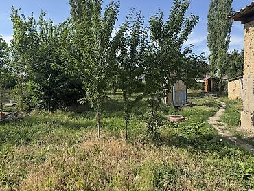 Жер тилкелери: 10 соток, Курулуш, Кызыл китеп, Техпаспорт, Белек келишими — 4