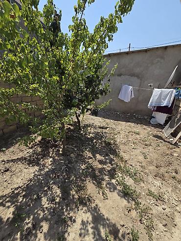 gənclik ev: 1 otaqlı, 38 kv. m, Kredit yoxdur, Orta təmir — 1