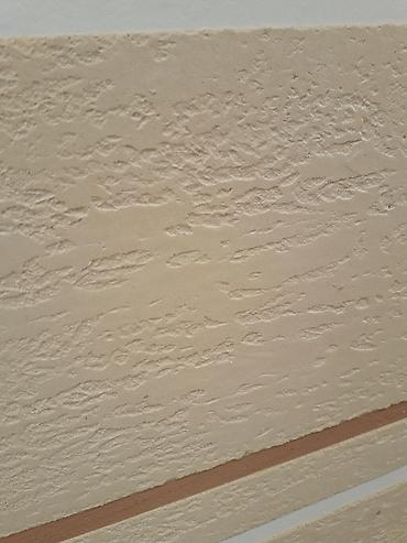 Другие виды отделочных работ: Больше 6 лет опыта — 13