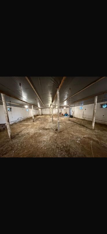 Torpaq sahələrinin satışı: 11 sot — 4