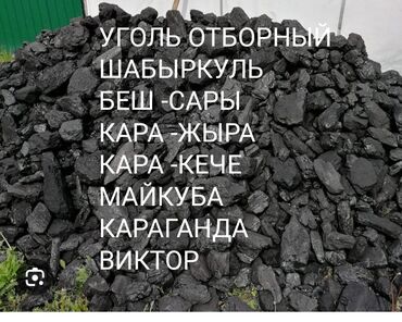 уголь отбор: Coal briquettes Бесплатная доставка