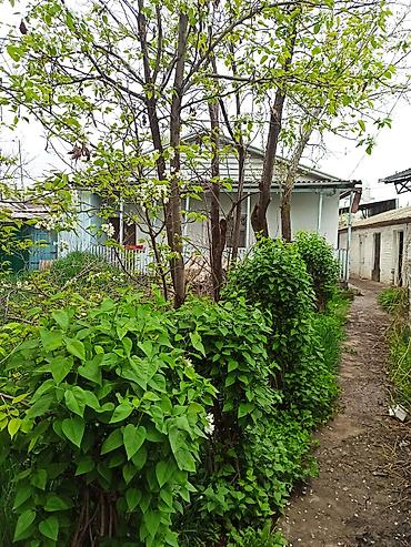 Продажа коттеджей и домов: Продается кирпичный коттедж,индивидуальный жилой дом из трёх комнат at lalafo.kg — 21 Продажа коттеджей и домов: Продается кирпичный коттедж,индивидуальный жилой дом из трёх комнат — 21