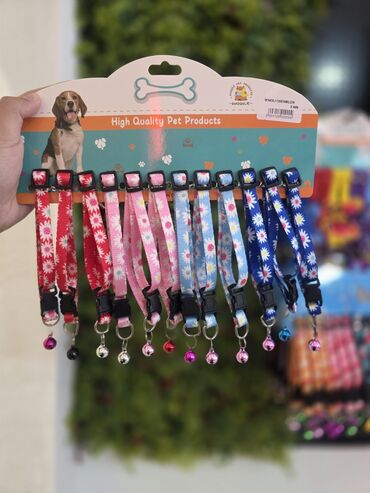 Xaltalar, qayışlar və tasmalar: Pişik və mini itlər üçün boyunbağılar. Taksilə çatdırılma xidmətimiz — 30