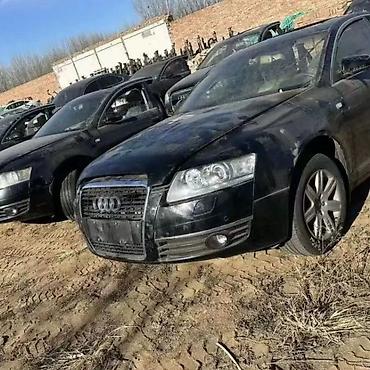 Ноускат, хафкат: Audi — 12