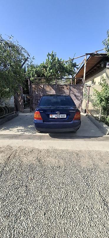 daewoo lanos 1: Toyota Corolla: 2006 г., 1.6 л, Автомат, Бензин, Седан — 1