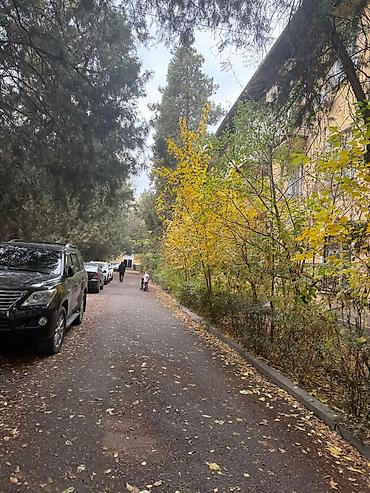 Продажа квартир: 4 комнаты, 88 м², Сталинка, 1 этаж, Косметический ремонт — 3