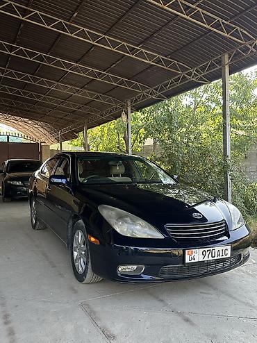 camry 55 exclusive: Toyota Windom: 2003 г., 3 л, Автомат, Газ, Седан — 8