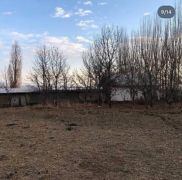 Продажа сельхоз предприятий: Продаётся сельскохозяйственный участок с хозяйственным двором и — 8