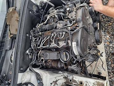 gedora za lambda sondu: MOTOR 2,0 TDI CAG ZA AUDI A3, A4, A5 . OD 2008. DO 2011. GOD. | — 1