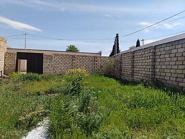 Torpaq sahələrinin satışı: Tikinti — 9