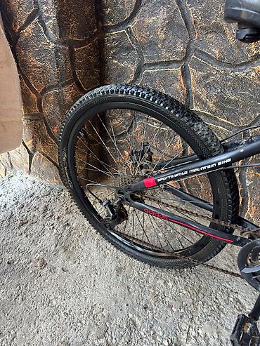 velosiped şəkli: Velosiped satılır 24 Adidas skorsnoy skorslar İşləkdi tormuz tutur — 3