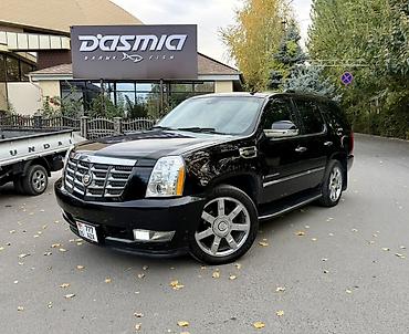 byd atto 8: Cadillac Escalade: 2009 г., 6 л, Автомат, Бензин, Внедорожник — 1
