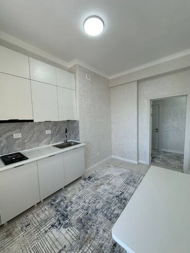 квартира борсан: 1 комната, 45 м², Элитка, 13 этаж, Евроремонт