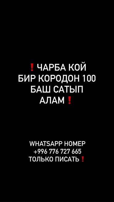 А/ч жаныбарларын сатып алам: Сатып алам | Кочкорлор, койлор