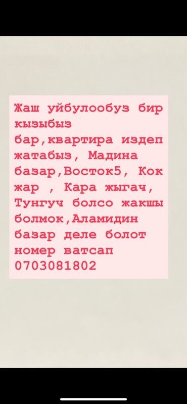исанова чуйкова: Услуга/заявка: поиск квартиры для молодой семьи с одним ребёнком