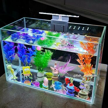 балык аквариум: Вариант бюджетного аквариума🐬 Подойдёт на подарок 🎁 в комплект входит