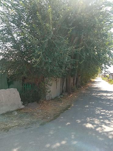 Продажа домов: Продаётся жилой дом с придомовым участком. Описание объекта: - — 1