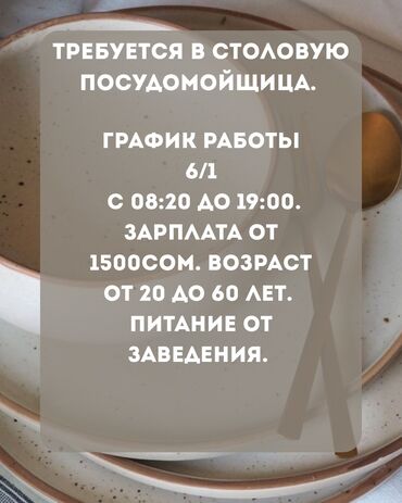 ишу работу ош: Талап кылынат Идиш жуучу, Төлөм Жума сайын