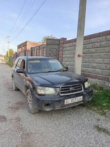 Subaru: Subaru Forester: 2003 г., 2 л, Автомат, Газ, Кроссовер